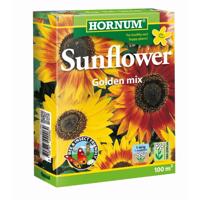 Hornum Sunflower 